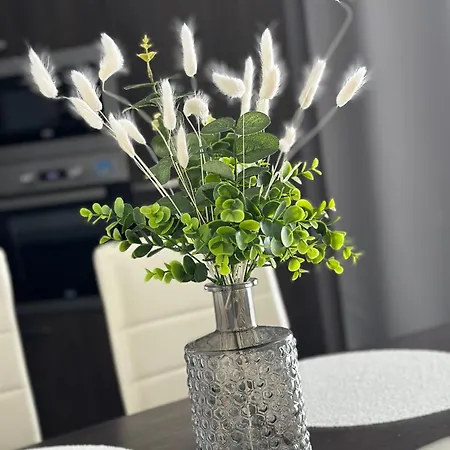 公寓 Panorama 普雷绍夫